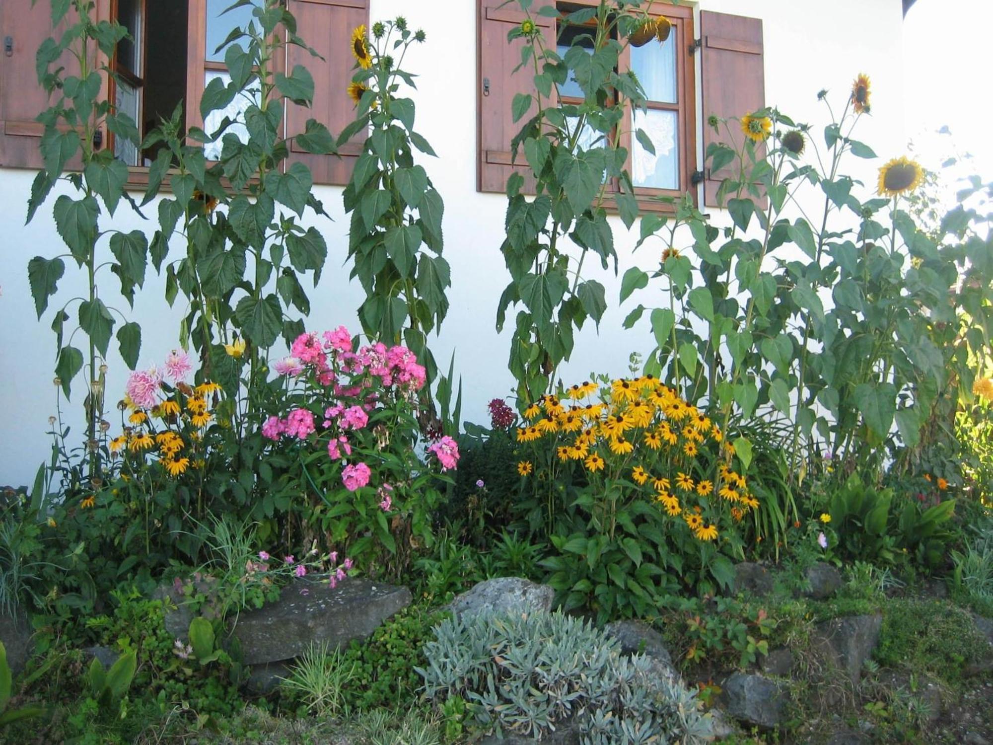 Apartment In The Allg U With View Of The Bavarian Alps Bernbeuren Екстериор снимка