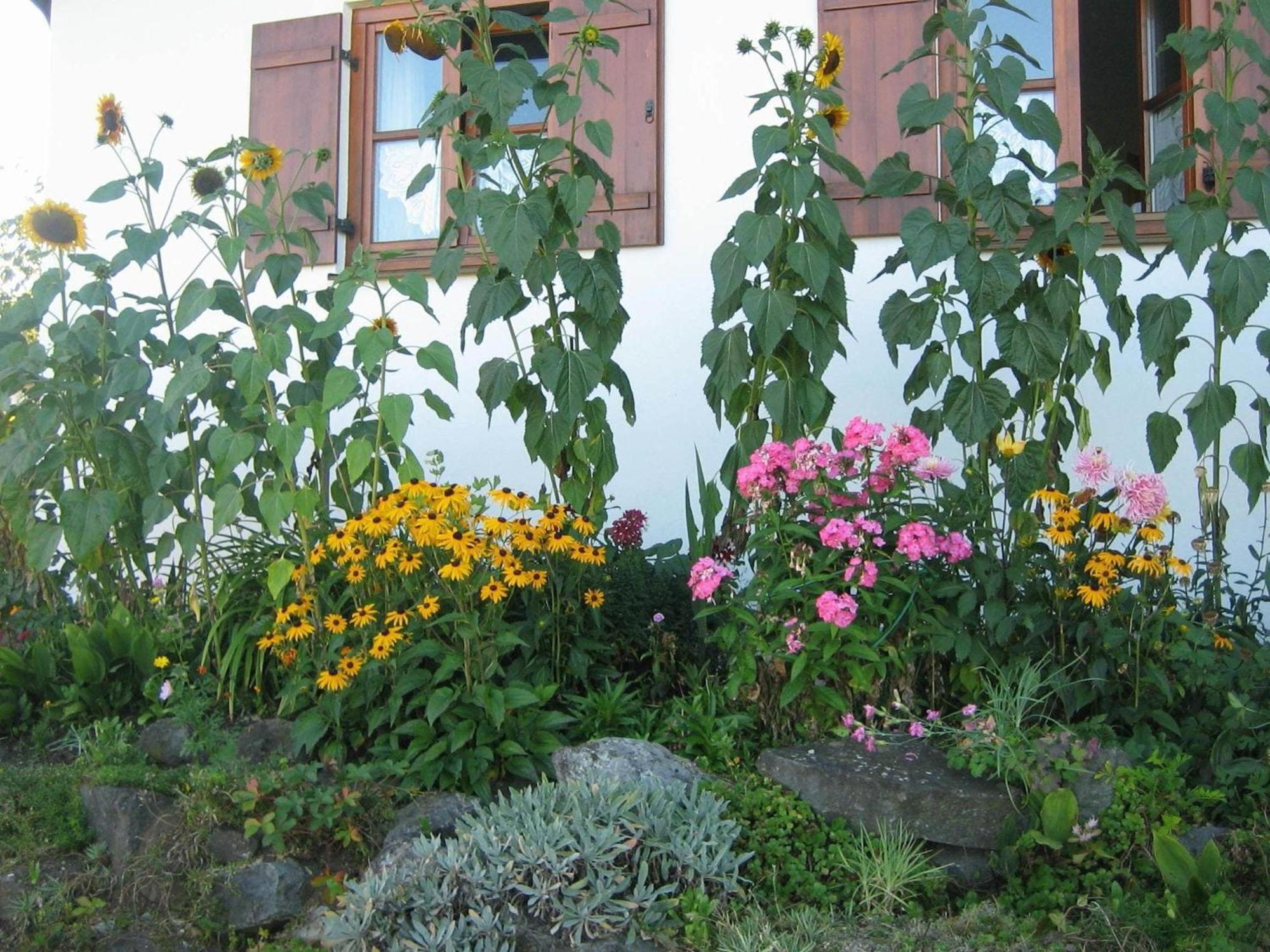Apartment In The Allg U With View Of The Bavarian Alps Bernbeuren Екстериор снимка